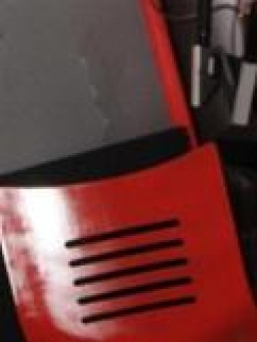 Pornstar Brenda Black Biography